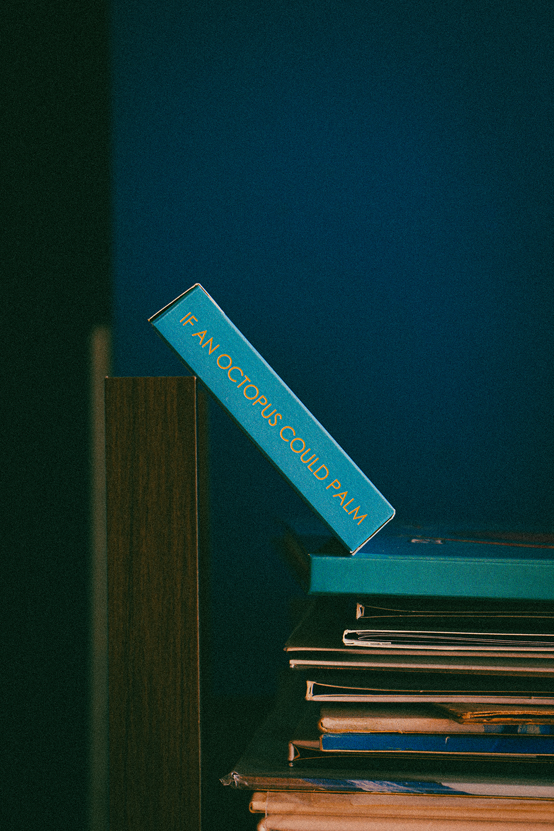 If an Octopus Could Palm, Korean Translation Books DAN & DAVE