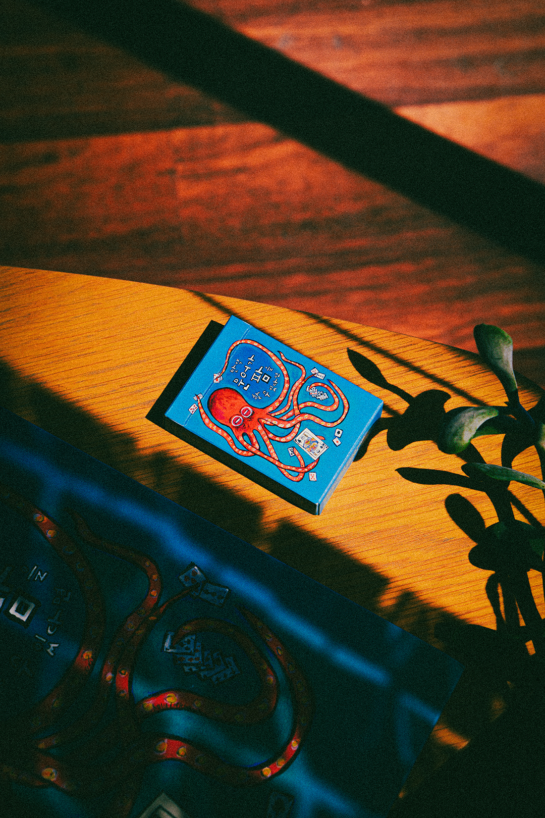 If an Octopus Could Palm, Korean Translation Books DAN & DAVE Signed Deck