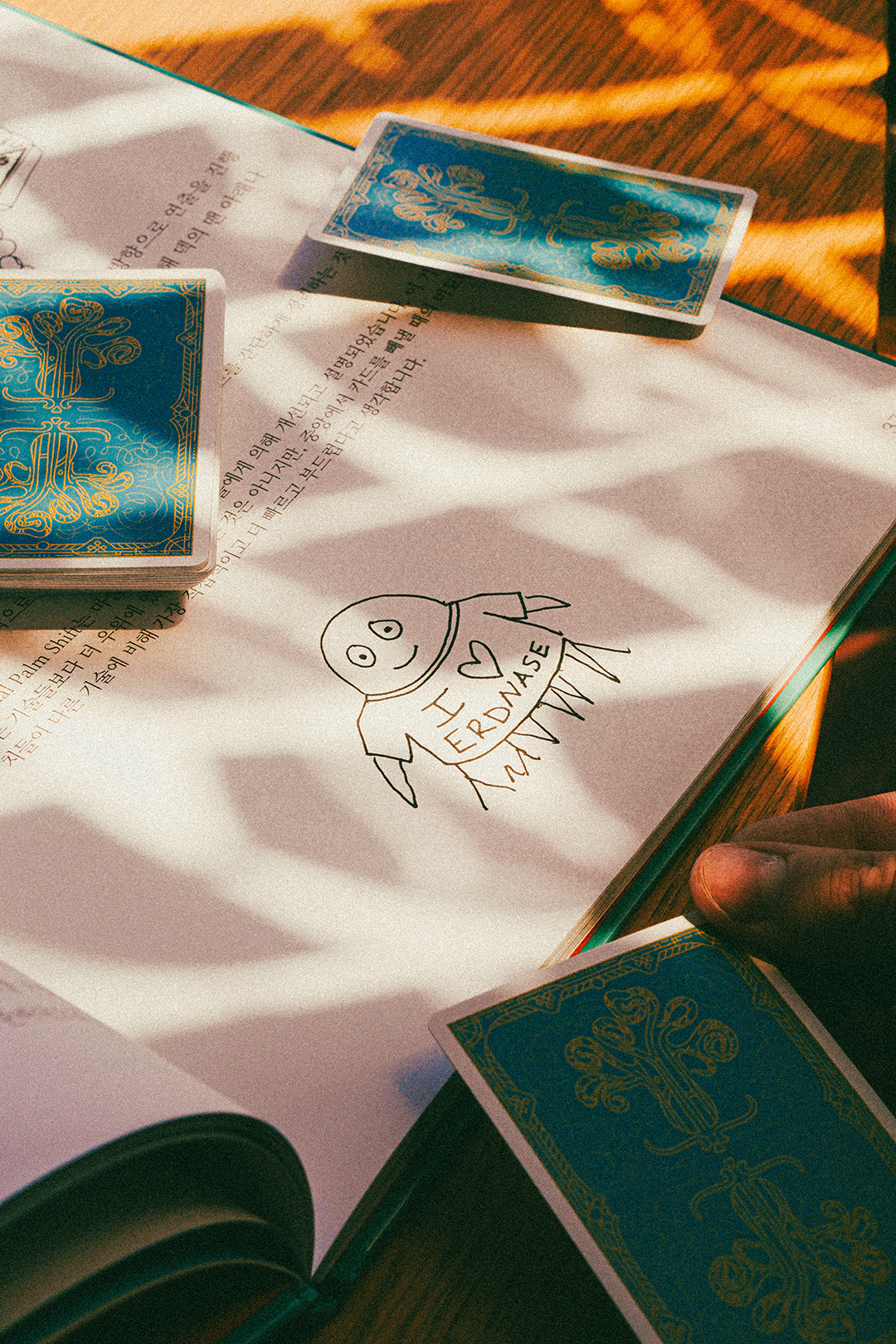 If an Octopus Could Palm, Korean Translation Books DAN & DAVE