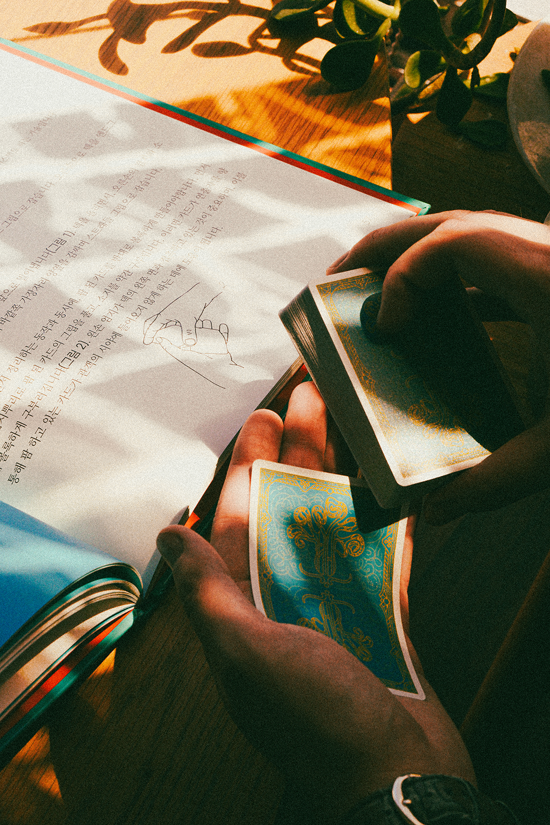 If an Octopus Could Palm, Korean Translation Books DAN & DAVE