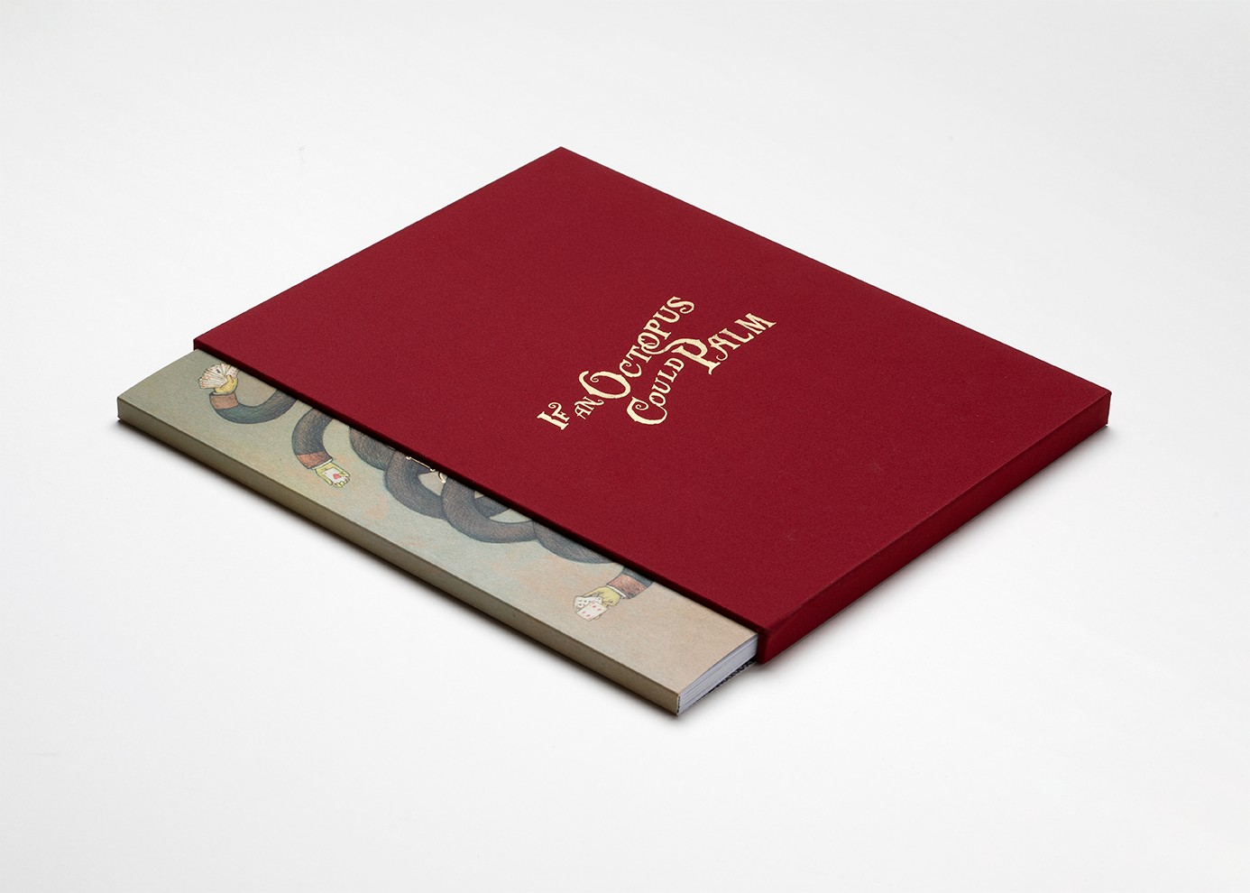 If an Octopus Could Palm Books DAN & DAVE Limited Deluxe Edition (Slipcase)