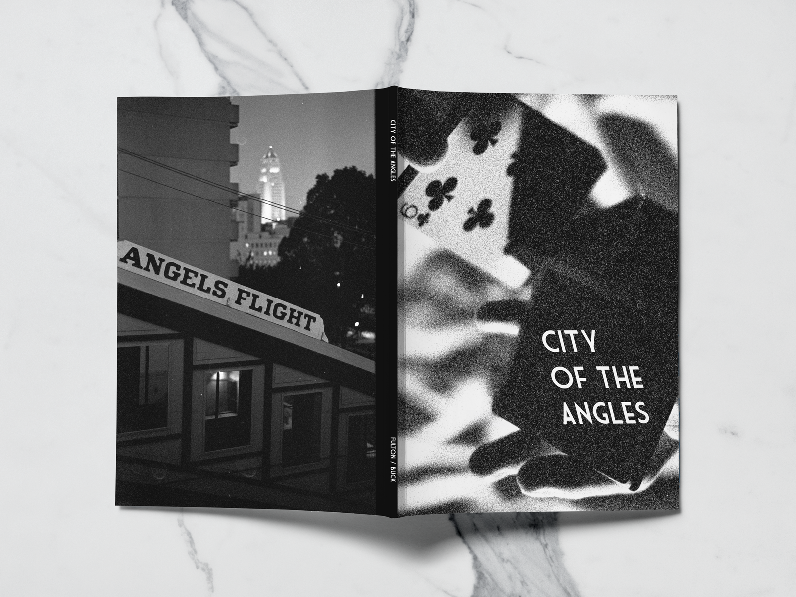 City of the Angles Books DAN & DAVE
