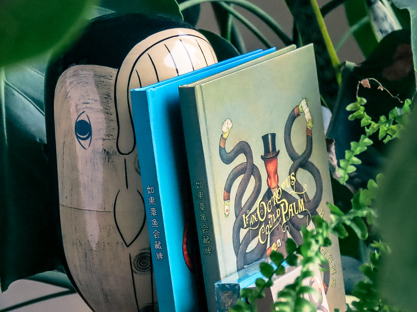 If an Octopus Could Palm, Chinese Translation Books DAN & DAVE