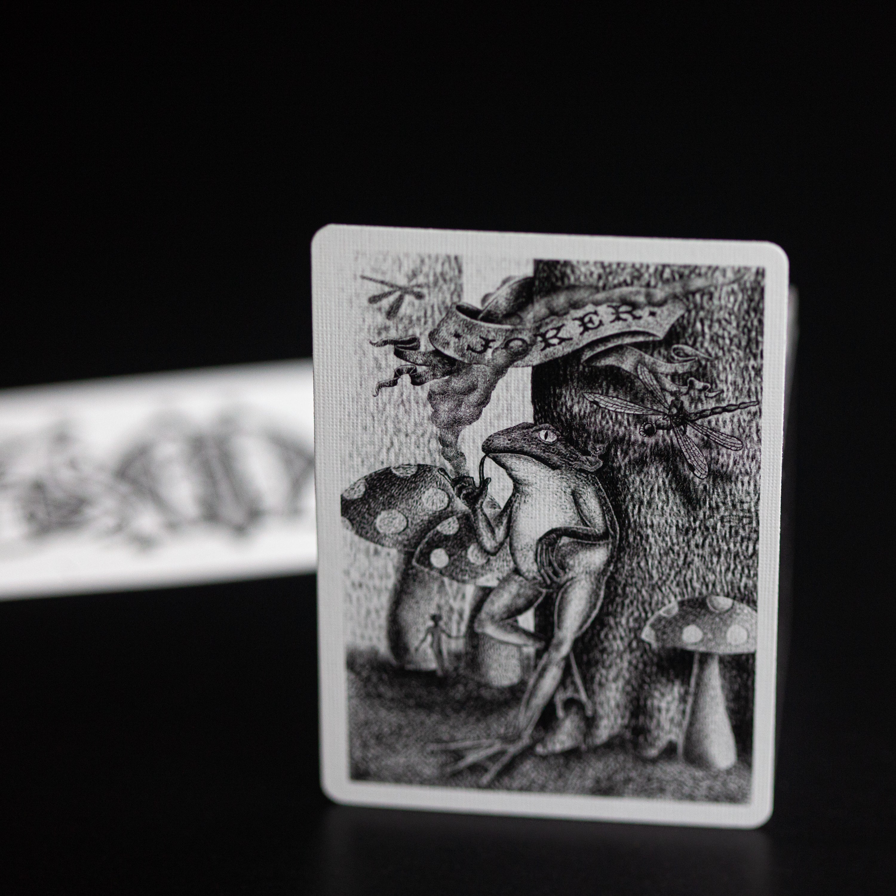 Smoke & Mirrors Anniversary Edition: Eco Playing Cards DAN & DAVE