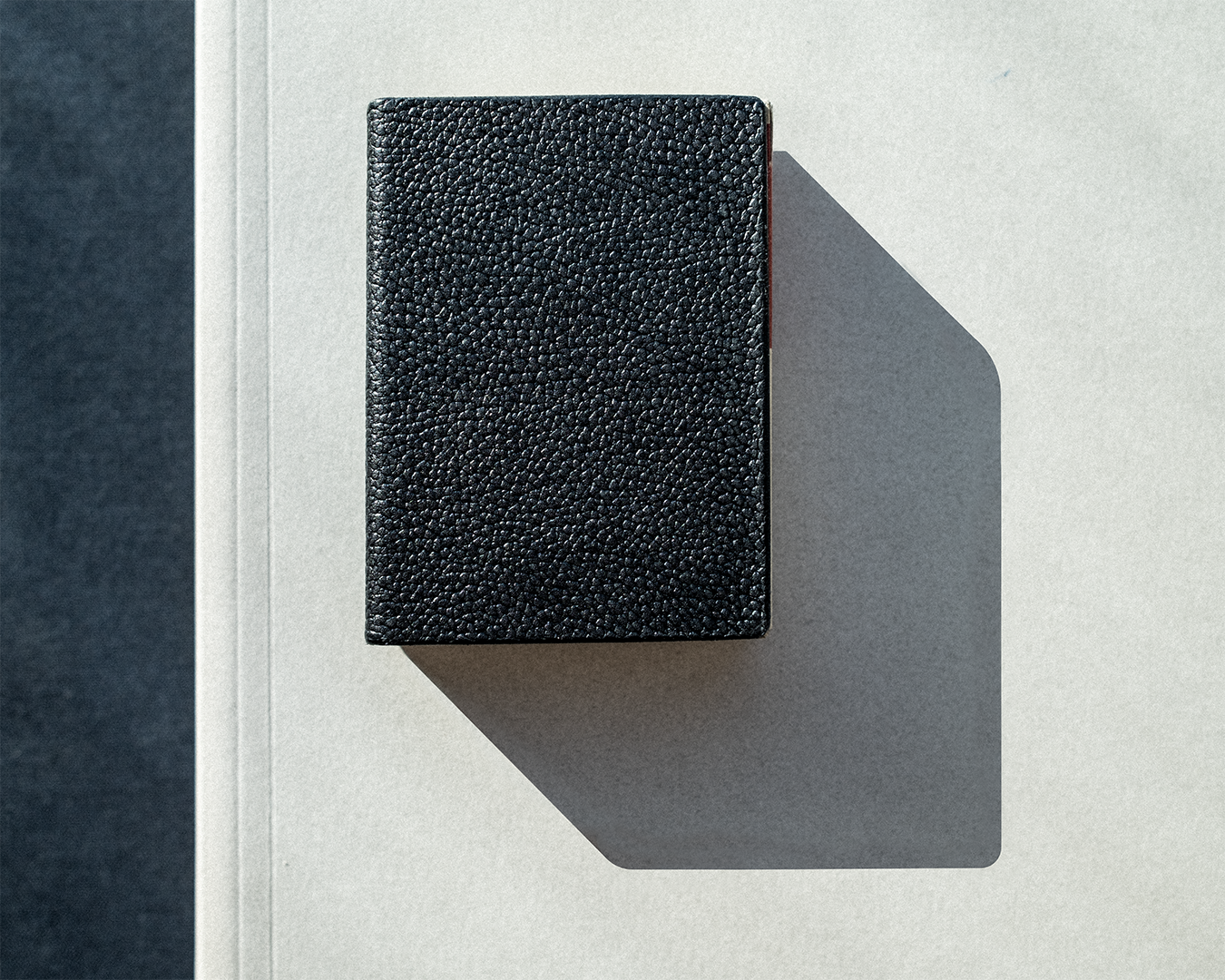 Products by Dan and Dave – DAN & DAVE Products by Dan and Dave – DAN & DAVE