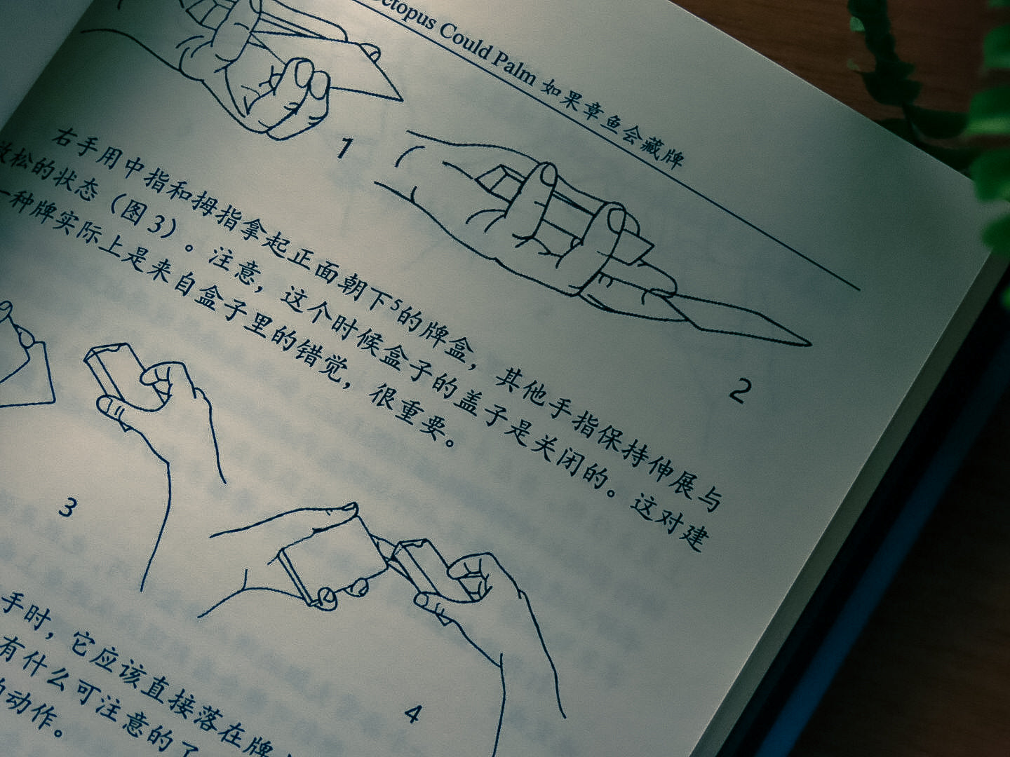 If an Octopus Could Palm, Chinese Edition